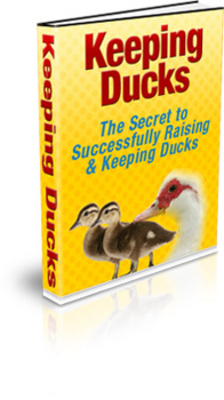 Product picture Keeping Ducks eBook With PLR